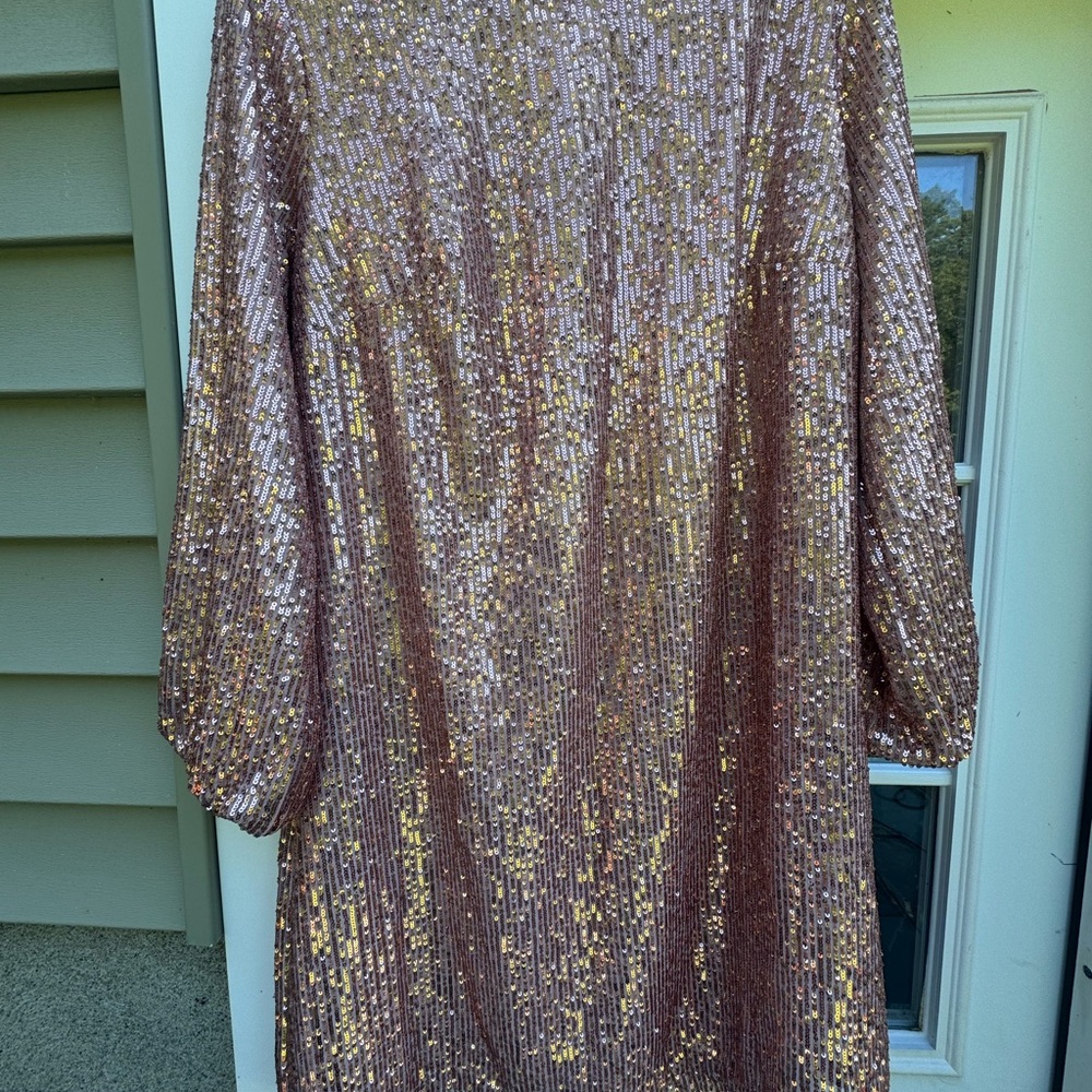 LOFT Plus Sequin Dress in Pink